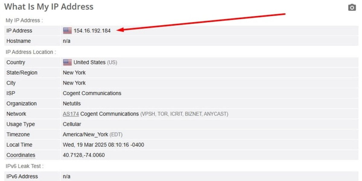 Best VPNs for Netflix – Top Picks for Streaming Abroad