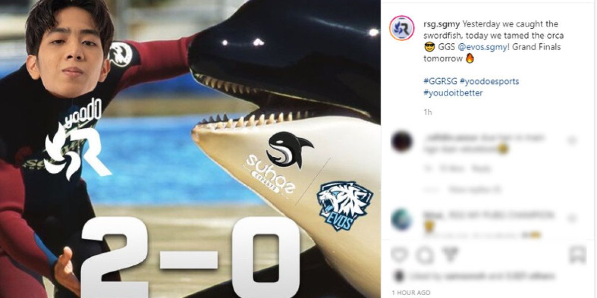 RSG MY's Playoff Run: From Underdogs to MPL Malaysia Finalists