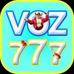 voz77 voz77 Profile Picture